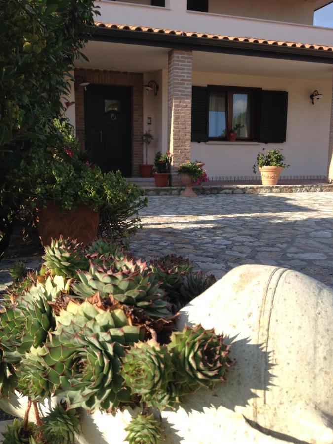 Cherry House Bed&Breakfast Кампобасо Екстериор снимка
